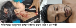 ফরিদগঞ্জে পূর্ব বিরোধের জেরে হামলায় নারীসহ আহত ৩