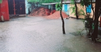 মুষলধারে বৃষ্টিতে ডুবলো নোয়াখালী, জলাবদ্ধতায় দুর্ভোগ চরমে