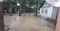 শ্রীনগরে মুষলধারার বৃষ্টিতে নিম্নাঞ্চল প্লাবিত