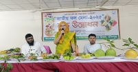 দেশীয় ফল আমাদের পুষ্টির অন্যতম উৎস