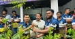 শাহরাস্তিতে আন-নূর ইসলামী পাঠাগার ও সমাজকল্যাণ পরিষদের গাছের‌ চারা বিতরণ