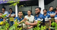 শাহরাস্তিতে আন-নূর ইসলামী পাঠাগার ও সমাজকল্যাণ পরিষদের গাছের‌ চারা বিতরণ
