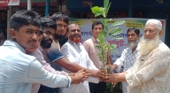 রামপুরে জুলাই আগস্ট বিপ্লবী শহীদদের স্মরণে বৃক্ষরোপণ ও বিতরণ