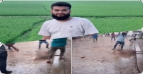 পাথর মেরে ব্যবসায়ীকে হত্যার প্রতিবাদে বিক্ষোভে উত্তাল দেশ