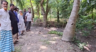 কচুয়ায় জোরপূর্বক জায়গা দখল ও গাছের চারা কর্তনের অভিযোগ
