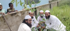 ইসলামী যুব আন্দোলনের প্রতিষ্ঠাবার্ষিকী পালন