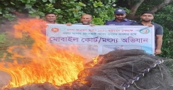 শ্রীনগর আড়িয়াল বিলে ভ্রাম্যমাণ অভিযানে চায়না দুয়াইর জব্দ