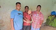 কলার আড়ত থেকে ফনীমনসা সাপ উদ্ধার