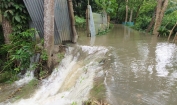 মেঘনার জোয়ারে নিম্নাঞ্চল প্লাবিত