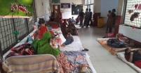 হাসপাতালে ডেঙ্গু রোগীর সংখ্যা  দিন দিন বেড়েই চলছে