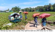 কচুরিপানা মুক্ত পানিতে স্বস্তি ফিরবে ডাকাতিয়া পাড়ের মানুষের
