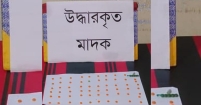 যৌথ বাহিনী কর্তৃক  মতলব হতে মাদকদ্রব্য উদ্ধার