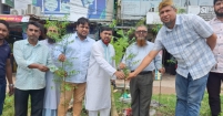 বাকিলায় কৃষি ব্যাংকের   ঔষধি বৃক্ষরোপণ