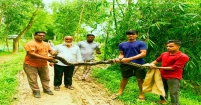 বাঁশঝাড় থেকে আবারো বিরাট আকৃতির অজগর সাপ উদ্ধার