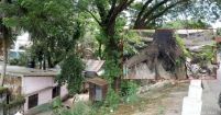 ভয়াবহ দুর্ঘটনার আগে গাছগুলো কাটার ব্যবস্থা নিন