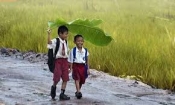 ফিরতে চাই স্কুল জীবনে