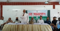 হাসান আলী মডেল সরকারি প্রাথমিক বিদ্যালয়ে মা সমাবেশ