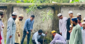 বৃক্ষরোপণ ও বনায়ন : পরিবেশ রক্ষার প্রধান হাতিয়ার
