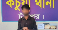 কচুয়ায় ৩ কেজি গাঁজাসহ মাদক ব্যবসায়ী গ্রেফতার