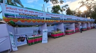 দর্শনার্থীশূন্য লক্ষ্মীপুরের কৃষি প্রযুক্তি মেলা, সরকারি অর্থ অপচয়