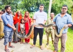 আবারও বিদ্যুৎস্পৃষ্টে লজ্জাবতী বানরের মৃত্যু, উদ্ধার হয়েছে বিশাল আকৃতির অজগর