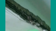মতলবে স্কুলের ছাদের পলেস্তরা খসে দুই শিক্ষার্থী আহত