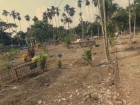 যুবকদের হাতেই ঐতিহ্য রক্ষা!