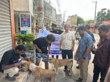 চাঁদপুরে ৩ দিনে ৩ শতাধিক পথকুকুরের ভ্যাকসিন ও চিকিৎসাসেবা প্রদান