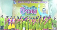 জেলা শিল্পকলা একাডেমিতে চলছে ১৬ দিনব্যাপী জমজমাট সাংস্কৃতিক উৎসব