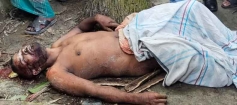 রায়পুরে সুপারি বাগান থেকে যুবকের লাশ উদ্ধার
