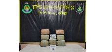 র্যাব-১১-এর অভিযানে ২৫ কেজি গাঁজাসহ  মাদক ব্যবসায়ী গ্রেফতার