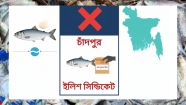চাঁদপুরের সুনাম নষ্ট করছে বরিশালের পচা ইলিশ