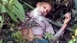 ফরিদগঞ্জে গাছ ভেঙ্গে পড়ে বৃদ্ধের মৃত্যু