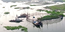 ধনাগোদা নদীর ২০ কিলোমিটার জুড়ে ৬ শতাধিক মাছ শিকারের অবৈধ ফাঁদ