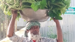 বাড়ি বাড়ি শাক বিক্রি করে সংসার চালাচ্ছেন মিছির আলী