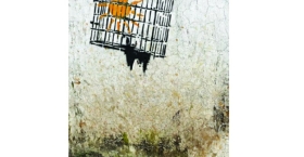 বিবেকের রক্তক্ষরণ