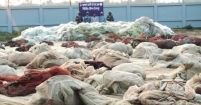৫ কোটি টাকার বিপুল পরিমাণ অবৈধ জাল জব্দের পর বিনষ্ট