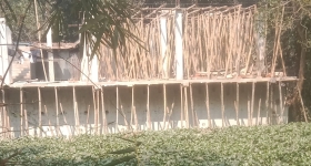 সিআইপি  খাল দখল করে বিল্ডিং নির্মাণ