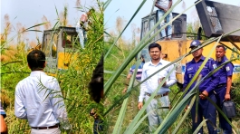 এমপির নির্দেশে ঈদগাহ ফেরিঘাট সংলগ্ন  চরে  মাটি কাটা বন্ধে উপজেলা প্রশাসনের অভিযান