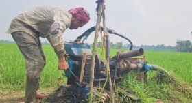 রামগঞ্জে জ্বালানি সংকটে সেচ দিতে না পেরে দিশেহারা কৃষক