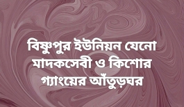 বিষ্ণুপুর ইউনিয়ন যেনো মাদকসেবী ও কিশোর গ্যাংয়ের আঁতুড়ঘর