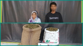 র‌্যাব-১১, সিপিসি-২-এর অভিযানে ২০ কেজি গাঁজাসহ ২ মাদক ব্যবসায়ী গ্রেফতার