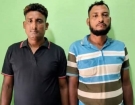 মতলবে ১শ' ৫ পিচ ইয়াবাসহ দু সহোদর গ্রেফতার