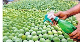 রাসায়নিক দিয়ে পাকানো ফল কতোটুকু নিরাপদ