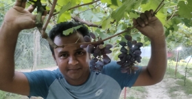 আঙ্গুর চাষে ‘টক ফল’ ধারণাকে চ্যালেঞ্জ করে গড়ে তুলেছেন ১২০ জাতের বাণিজ্যিক বাগান