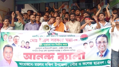 মতলব উপজেলা, পৌর ও কলেজ ছাত্রদলের আনন্দ র্যালি