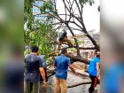 কালবৈশাখীর তাণ্ডব :  কয়েক স্থানে গাছ পড়ে গেছে।। বৃদ্ধ নিহত, চাঁদপুর  শহরজুড়ে বিদ্যুৎ বিপর্যয়