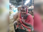 হাটজুড়ে পানি, ত্রিপলের নিচে স্বপ্ন : বিক্রির আশায় প্রহর গুণছেন বেপারীরা