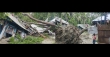 শাহরাস্তিতে কালবৈশাখীর তাণ্ডব : ব্যাপক ক্ষয়ক্ষতি, বিদ্যুৎ সরবরাহ বন্ধ
