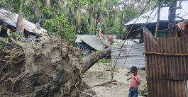 শাহরাস্তিতে লণ্ডভণ্ড বিদ্যুৎ লাইন সচল করতে মাঠকর্মীদের ছুটি বাতিল, কাজে যোগ দেয়ার নির্দেশ